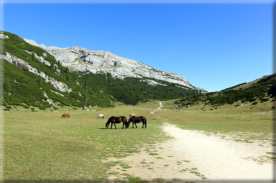 foto Altopiano di Fanes